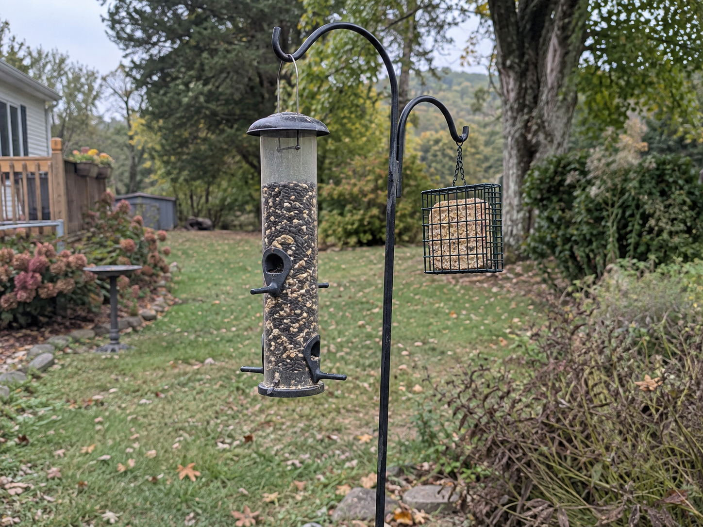 Bird feeders with no birds