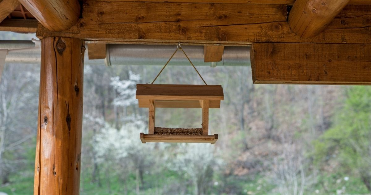 bird feeder hanging on a porch